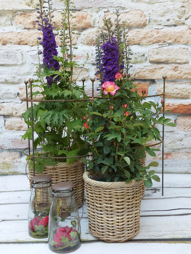 Cottage Garden decorationen